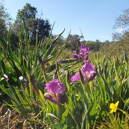 Chateau Les Poules Appartamento
