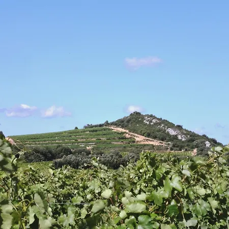 公寓 Chateau Les Poules