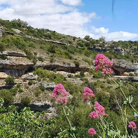 Chateau Les Poules Appartamento *