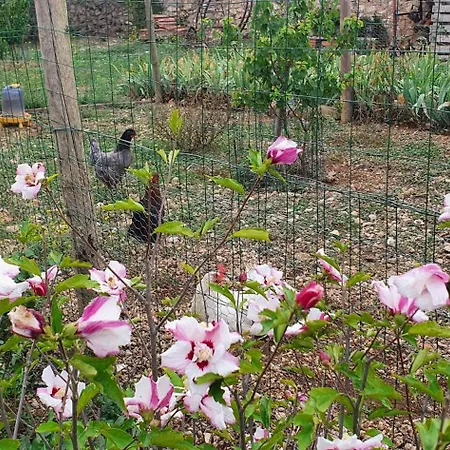 Chateau Les Poules * Assignan