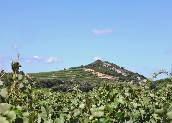 דירה Chateau Les Poules