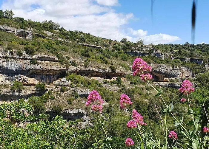 Chateau Les Poules דירה *