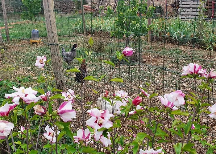 Chateau Les Poules * Assignan